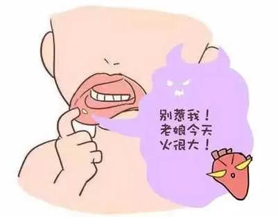 中藥淺說——一味肉桂引火歸元,解決你的上熱下寒 中藥淺說——一味肉桂引火歸元,解決你的上熱下寒