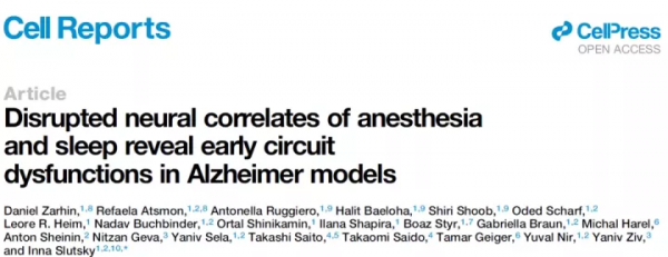 Cell Rep：阿爾茨海默病早期在睡眠時可能存在神經環路功能失調