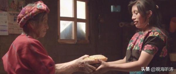 “不祥之鳥”導演的絕密行動：2000萬美元與幾家歡喜幾家愁