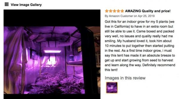 中國商人賣的貨,被美國人玩壞了 中國商人賣的貨,被美國人玩壞了