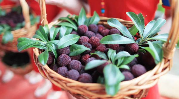 17 個關於水果的真相你都知道嗎