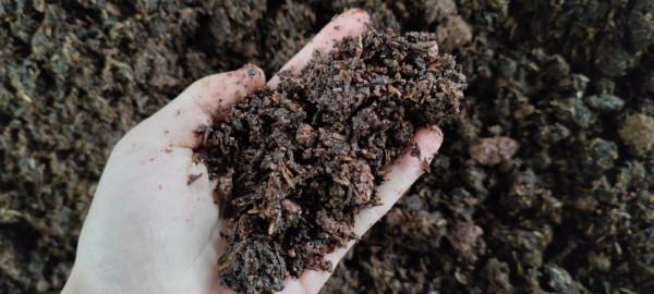 正確認識醬酒中的碎沙酒 正確認識醬酒中的碎沙酒