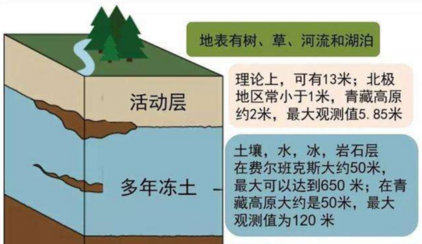 科學家復活3萬年前的種子，開的花已不同，復活種子有何意義？