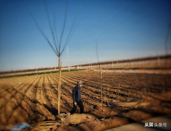 教育法則——別讓孩子在努力的年紀享福