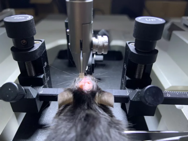 光纖記錄詳解，一文帶你詳細瞭解光纖記錄實驗