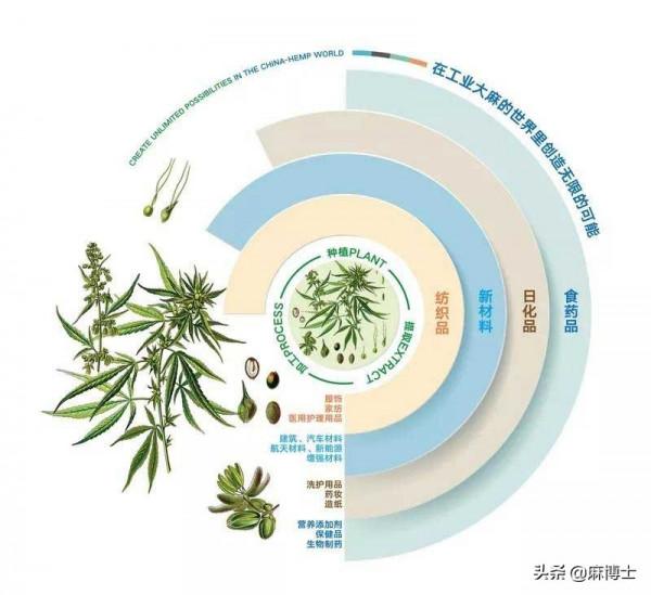 工業大麻的革命性賽道 工業大麻的革命性賽道