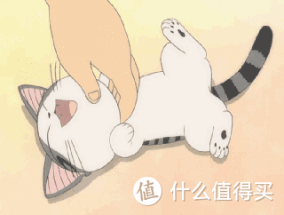 養三隻貓是一種怎樣的體驗？過來人的養貓（勸退）指南