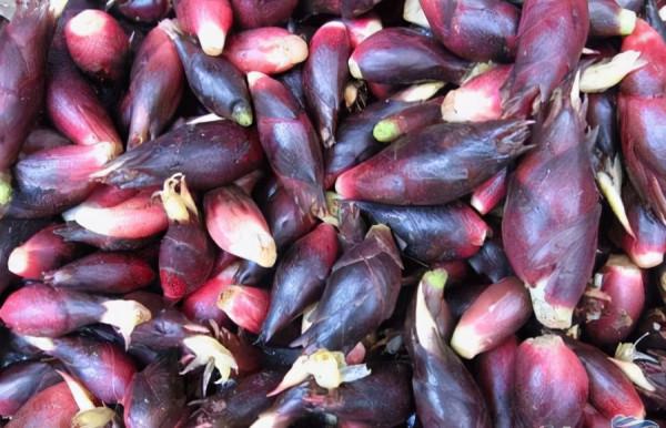 農村五種不生蟲“懶人蔬菜”，簡單易種，種一茬連續吃幾年多好