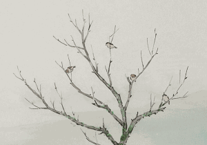 《太平廣記》志怪故事：尋仙記