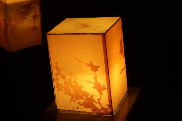 大唐芙蓉園這麼美的花燈，你確定不來嗎？