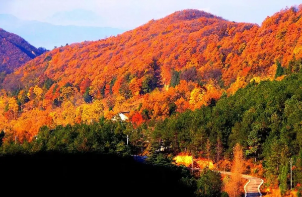 紅葉最佳觀賞期！這些地方全都美成了仙境，趕緊出發