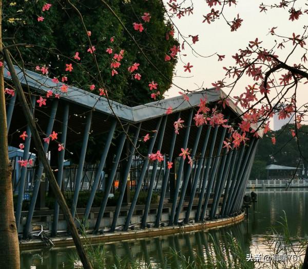 燈都溼地公園 燈都溼地公園