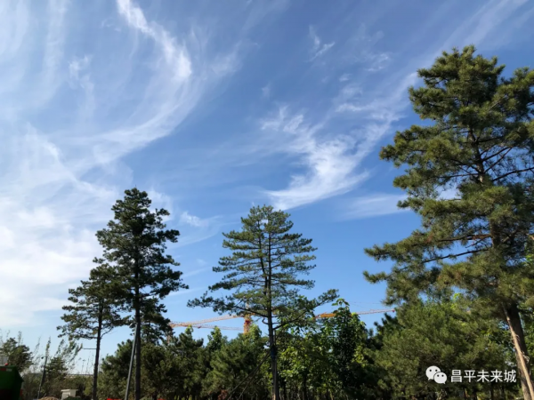 首次曝光！溫榆河公園昌平一期探秘，實在太美了