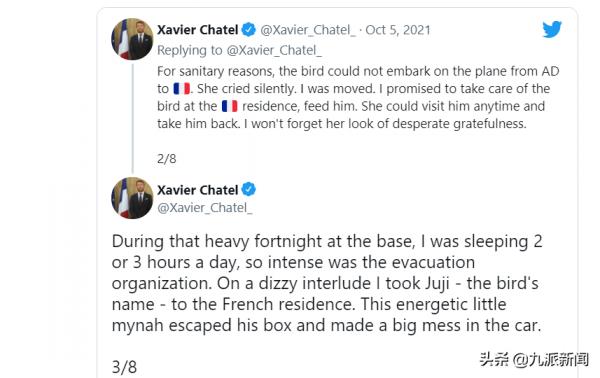 寵物鳥被迫與阿富汗女孩分離 法國大使將其收養並教它法語打招呼