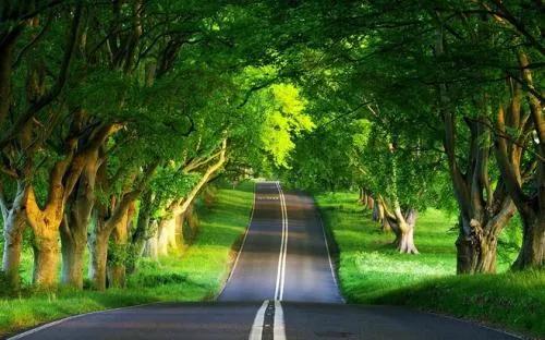 每個人都要有點興趣愛好 每個人都要有點興趣愛好