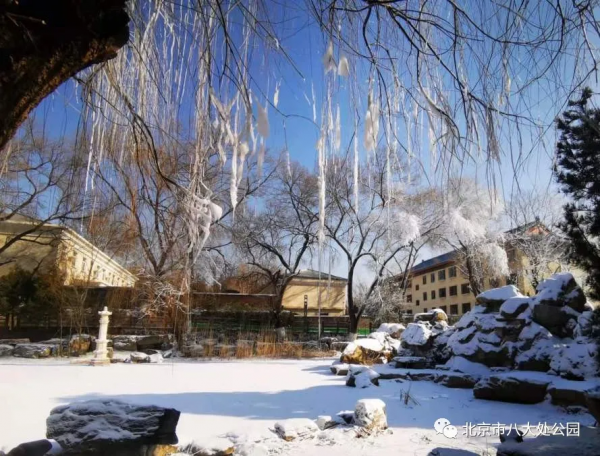 美翻了，北京這個地方開始造雪景啦