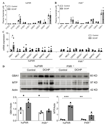 基礎科研 | 升高膽固醇、損害心血管!這種日用品中「無處不在」的化合物,對人體的危害又添新證據 基礎科研 | 升高膽固醇、損害心血管!這種日用品中「無處不在」的化合物,對人體的危害又添新證據