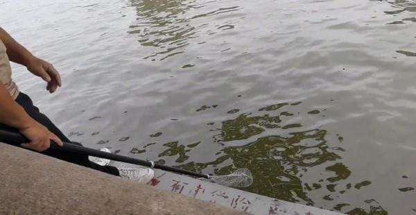 珠江邊的職業釣魚人,一天可賺六百,其他釣魚人:這樣釣魚不純粹 珠江邊的職業釣魚人,一天可賺六百,其他釣魚人:這樣釣魚不純粹