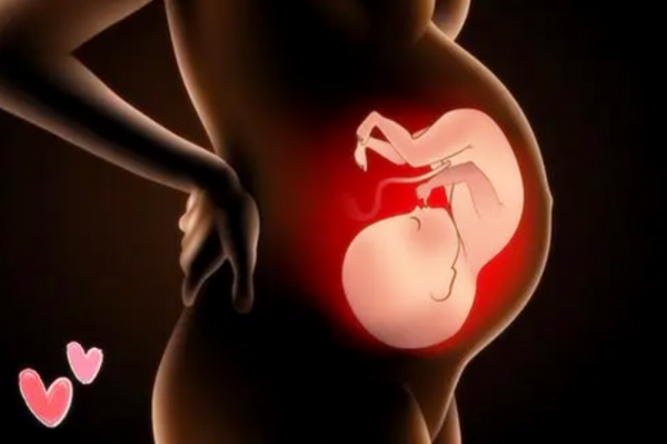 孕晚期娃“大頭朝下”不難受嗎？辛苦的不只媽媽，胎兒倒立更辛苦