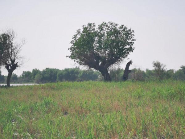 中國唯一的原始部落克里雅人，他們近況如何（青新甘13、14、15）