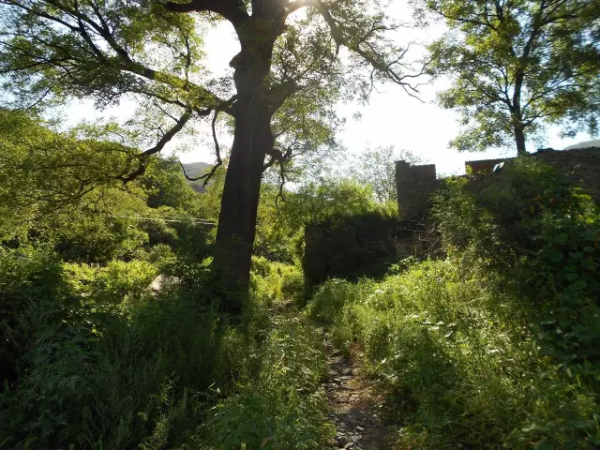 尋跡門頭溝 | 天橋浮裡的歲月風雲! 尋跡門頭溝 | 天橋浮裡的歲月風雲!