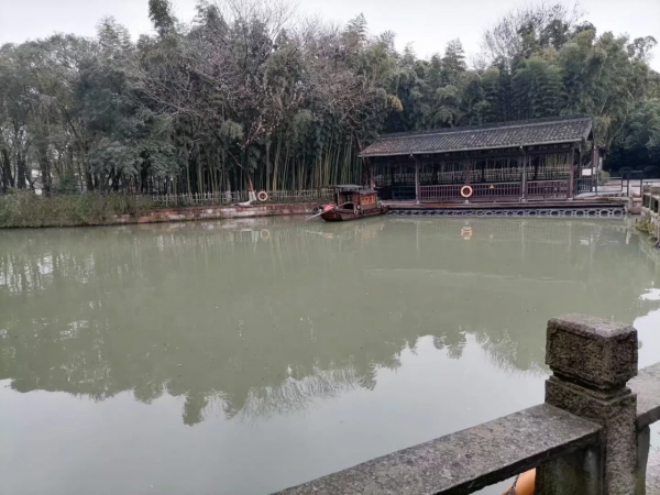 烏鎮千年水木年華，首屆奇葩鍾靈毓秀