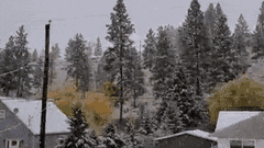 加拿大卑詩省下雪 125cm暴雪埋山 天地一片白茫茫 最冷冬天來襲 加拿大卑詩省下雪 125cm暴雪埋山 天地一片白茫茫 最冷冬天來襲