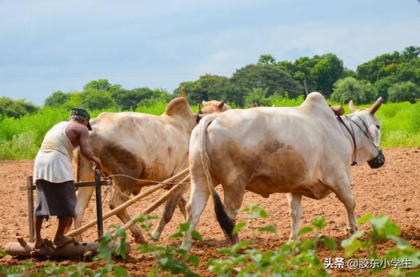 別再說你媽&quot&semi;老封建&quot&semi;了，你可能對封建有誤解