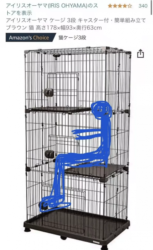 老婆養的貓好凶，我偷偷給她換隻脾氣好的，6年了她都沒發現