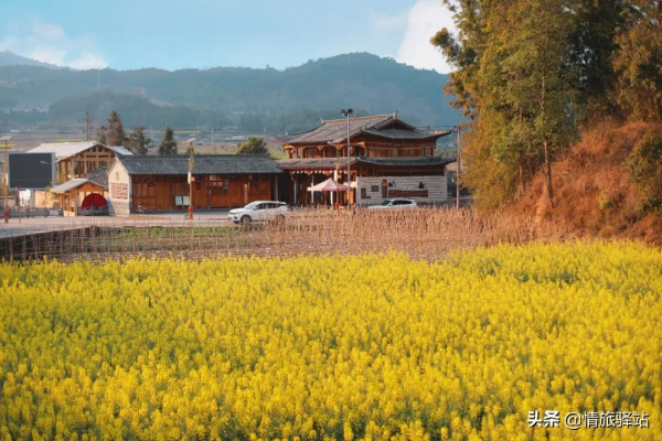 適合兩個人打卡的旅行清單，看完收藏