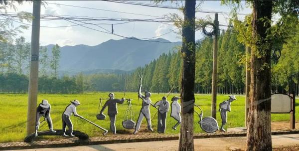 桐廬山水藝術季:“浙裡”的山村,水天相映是藝境 桐廬山水藝術季:“浙裡”的山村,水天相映是藝境