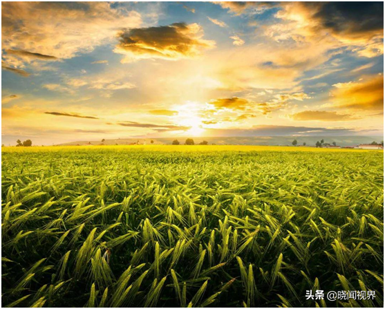 讓海子悲痛的德令哈,為何不再荒涼? 讓海子悲痛的德令哈,為何不再荒涼?