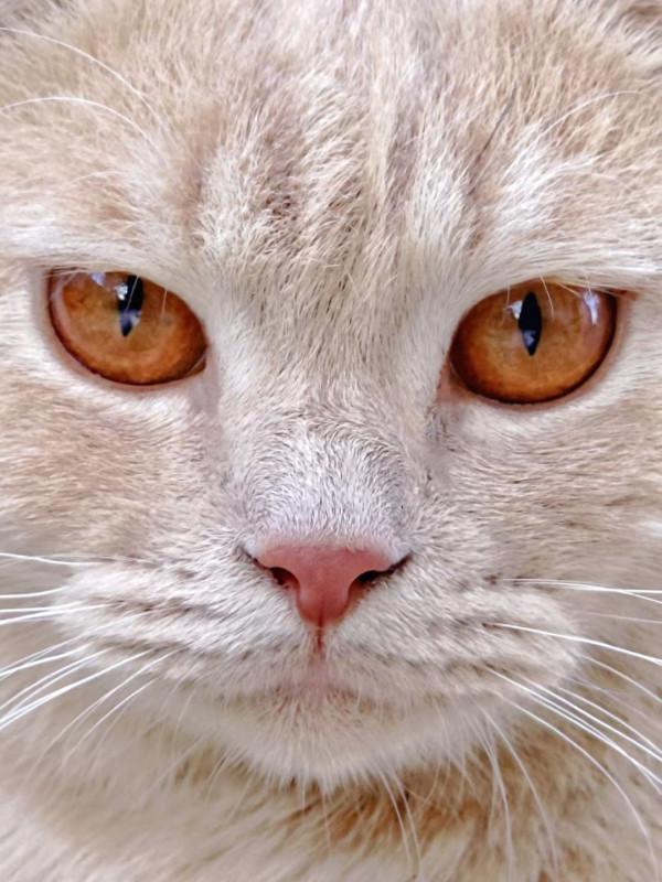 騰訊ROG遊戲手機5s——我的遊戲手機初體驗 騰訊ROG遊戲手機5s——我的遊戲手機初體驗