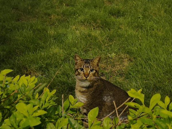 “被治癒的其實是我們”