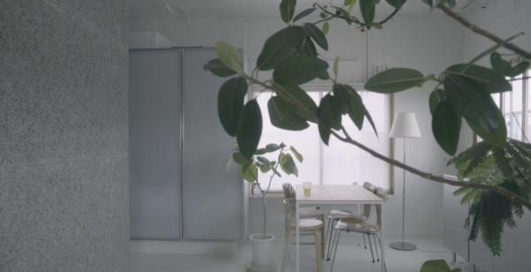 35㎡老破小爆改神作！裝下兩個書房、植物園、三分離衛生間