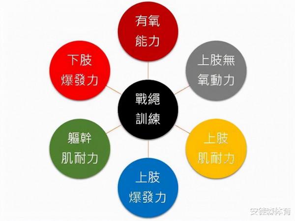 全身訓練的利器:戰繩的訓練方法與研究實證效果 全身訓練的利器:戰繩的訓練方法與研究實證效果