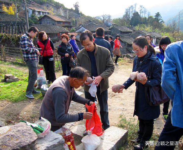 寧波有個古村,媲美篁嶺秋色,去過25次,你去過嗎 寧波有個古村,媲美篁嶺秋色,去過25次,你去過嗎