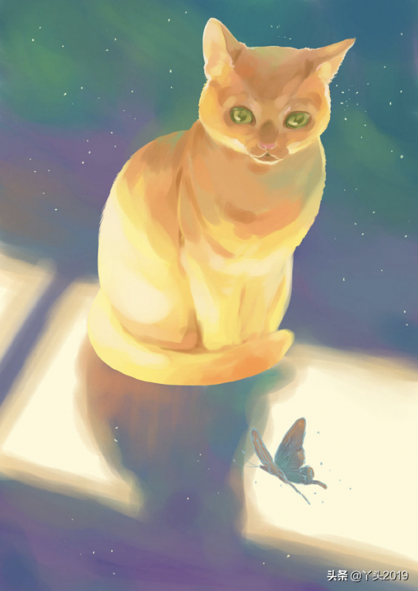 超可愛的小貓咪，好想擼一擼#插畫桌布#