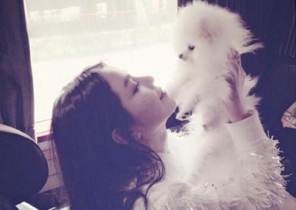 母親抱著貓咪呆坐在屋裡,女兒又抱著博美犬,一聲不吭地坐車走了 母親抱著貓咪呆坐在屋裡,女兒又抱著博美犬,一聲不吭地坐車走了