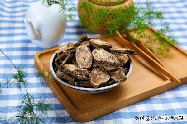 亞健康也是種病?一劑歸脾湯,健脾又養心,補氣還補血 亞健康也是種病?一劑歸脾湯,健脾又養心,補氣還補血