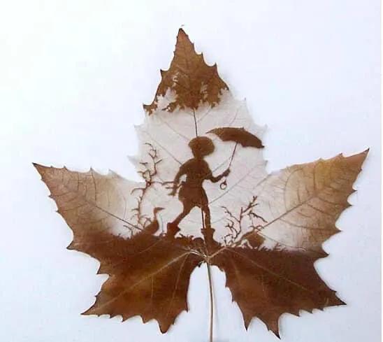 一葉知秋,一葉一世界 一葉知秋,一葉一世界