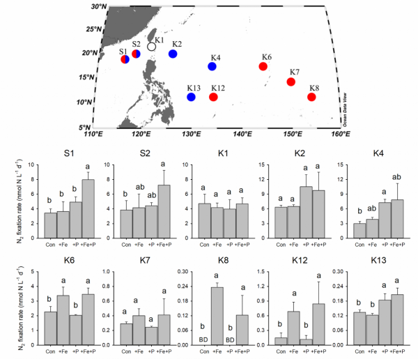 史大林教授團隊在Science Advances上揭示西北太平洋生物固氮的營養鹽調控機制