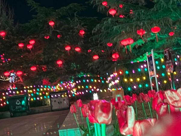 沒有煙花爆竹的大年有驚喜