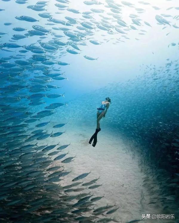 你想象不到！那些熱愛旅行的人，最後都怎樣了？