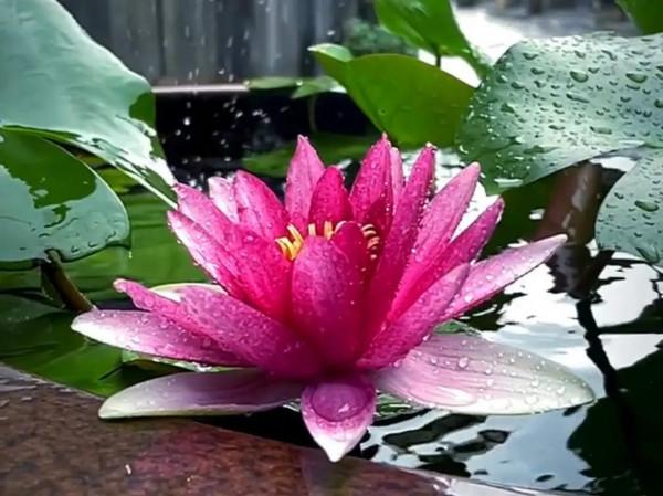 女孩子怎樣才能不辛苦 女孩子怎樣才能不辛苦