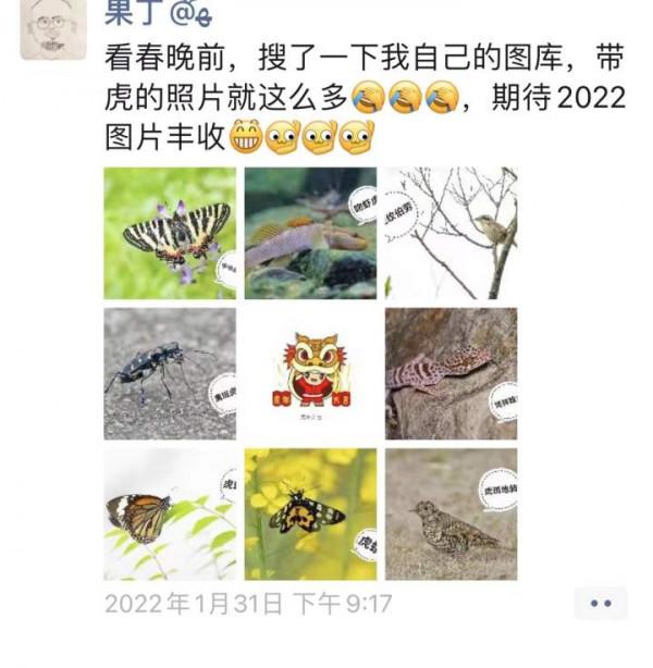 你知道動物界還有哪些&OpenCurlyDoubleQuote;虎&rdquo;嗎？熱愛自然的父子倆告訴你