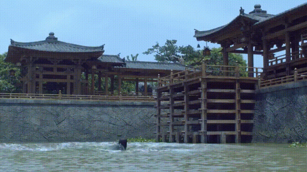 這部S+,可以抬走了 這部S+,可以抬走了