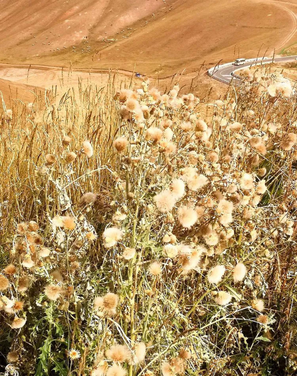 這個秋天，我想要一場去青海的旅行