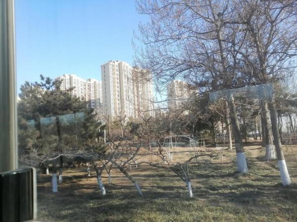 全國多地放價大跌,你買什麼樣的房子 全國多地放價大跌,你買什麼樣的房子