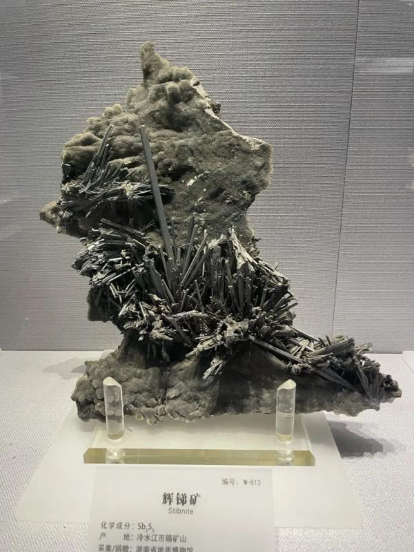 今天,邀請你一起去湖南省地質博物館,看萬物征途 今天,邀請你一起去湖南省地質博物館,看萬物征途